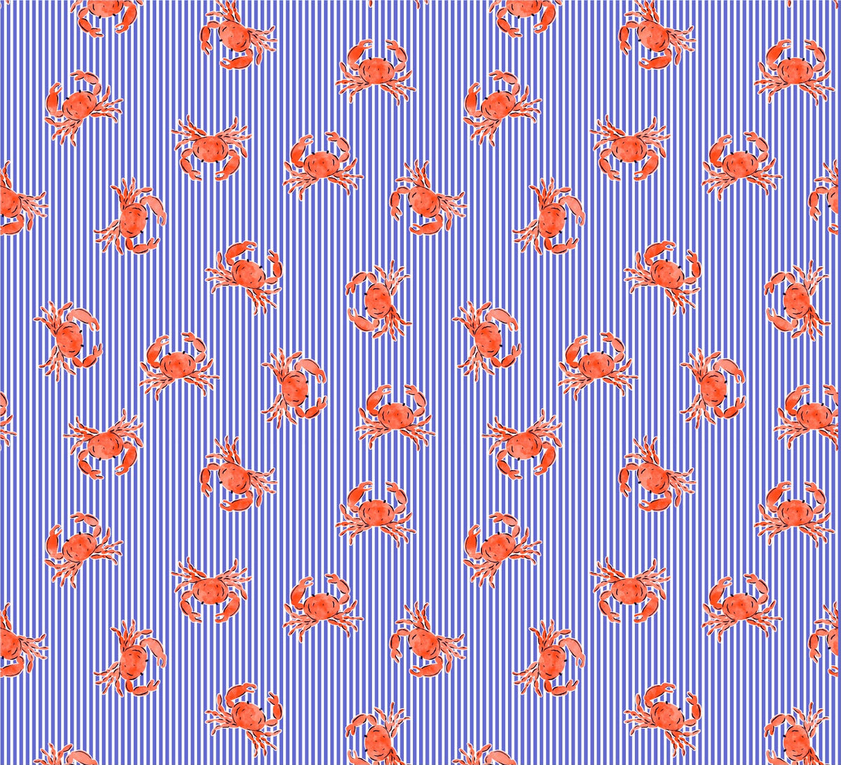 Crabby Pop - Pantaloneta